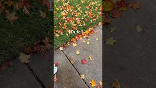 It’s finally fall 🍁🍂🎃 #fallvibes #autumn #fypviralシ #fyp #fall #aesthetic