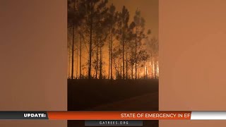 Ga. Forestry Commission State of Emergency