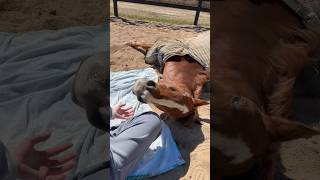 Valous Funny Little Personality Is Definitely Coming Out I Love Him So Much