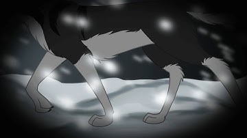 Shatter Me P.M.V. part 10 (parte 10)