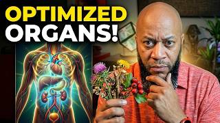Herbs That Heal Your Organs | Liver, Kidneys, Heart & More