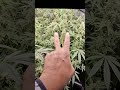 End of Week 7