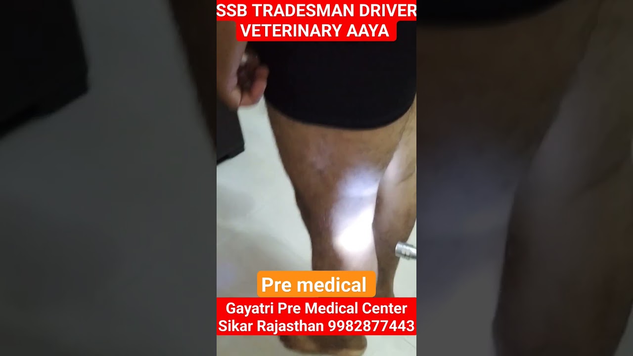 SSB TRADESMAN DRIVER VETERINARY AAYA 