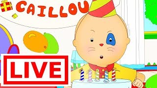 CAILLOU FULL EPISODES LIVE | Fun for Kids | Cartoons for Kids | Cartoon for Children | Cartoon movie