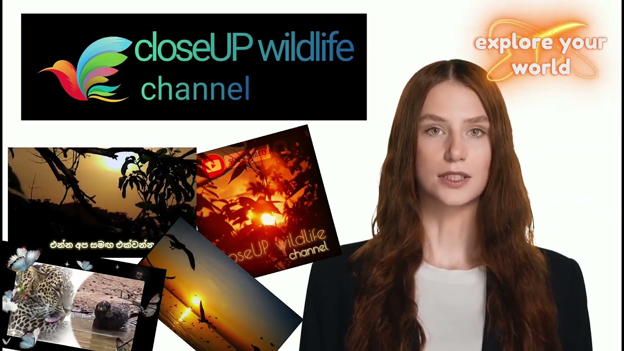 Artificial Intelligence (AI) Promotion video for closeup wildlife channel, Create your own now