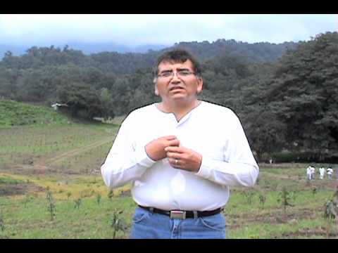 RAYMUNDO DE LA CRUZ PRESENTACION