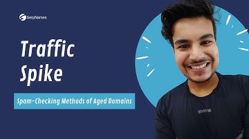 Traffic Spike | Spam-Checking Methods Of Aged Domains