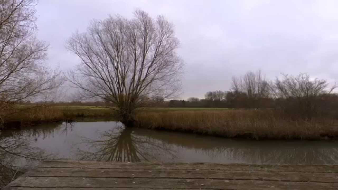 Die 5 Grundübungen des Lu Jong