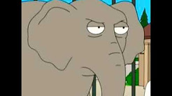 My Elephant Sound Effects 🐘 🔊 - YouTube