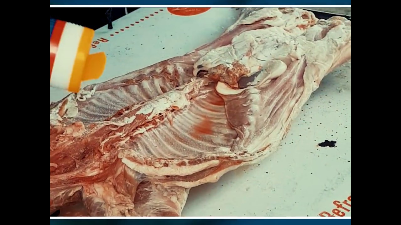 Cabrito al Pastor | El Arriero de Ramones