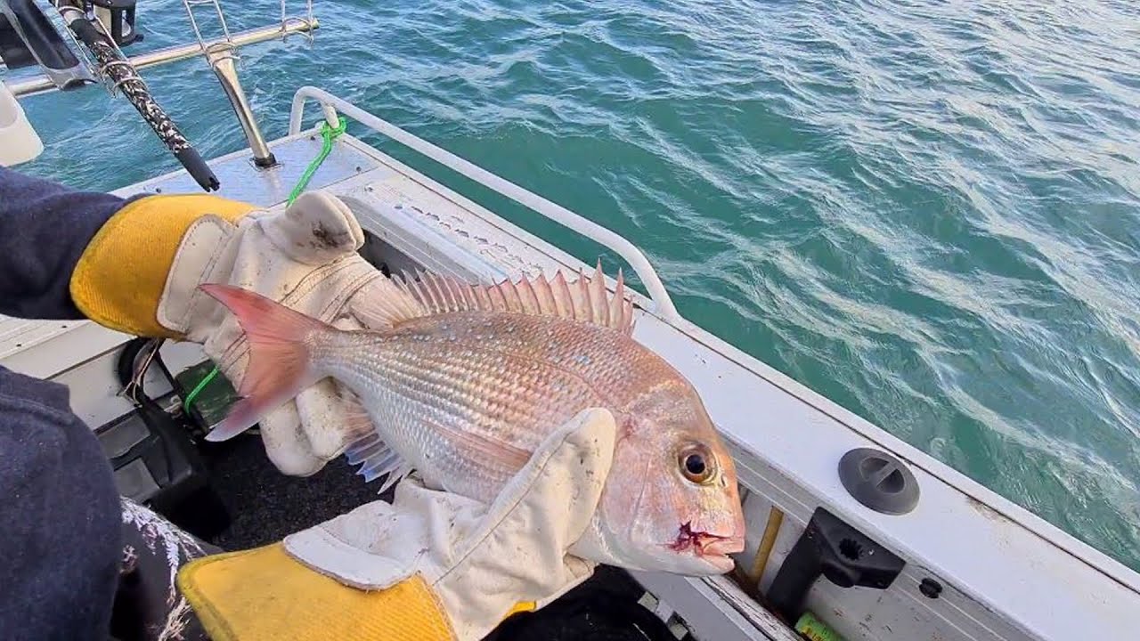 First Time Fishing At Port Albert