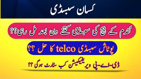 Potash subsidy | Dap auto payment | Dap subsidy update today | kissan card