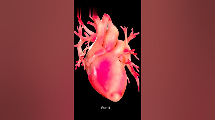 "5 Incredible Facts About Your Heart ❤️ You Didn't Know! #shorts"
