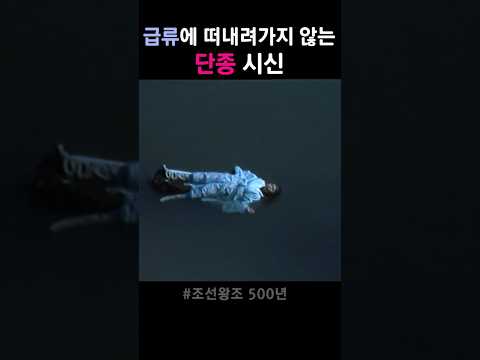 급류에도 떠내려가지 않는 단종시신 #왕과사는남자 #단종 #엄흥도
