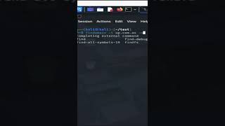 Find Subdomains FAST with Findomain (Passive Recon) #shorts