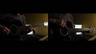 Pain of Salvation - Fur (Acoustic guitar cover)