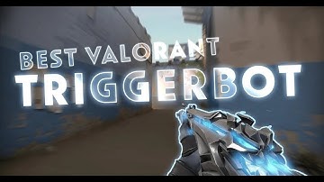 Ultimate VALORANT COLORBOT  TRIGGERBOT TUTORIAL (EFFORTLESS) BY AIMSYNC UNDETECTED SINCE 10.11.25