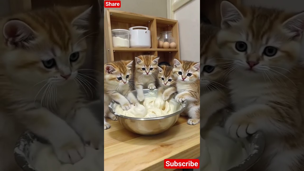 Baking Day with the Fluff Squad! 