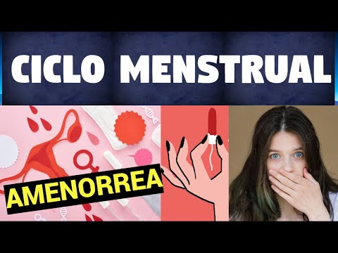 Vídeo: Asociaciones Entre El Ciclo Menstrual, Los Factores Del Estilo De Vida Y La Evaluación Clínica De La Superficie Ocular: Un Estudio Observacional Prospectivo