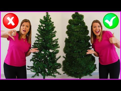 Vídeo: Como Escolher árvores De Natal Para O Ano Novo