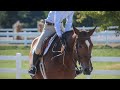 Equestrian Sport~Никому- никогда~