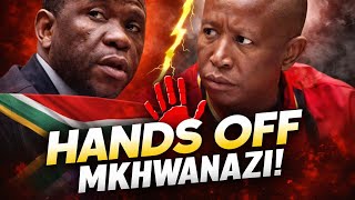 South Africans Warn Malema  Hands Off Mkhwanazi