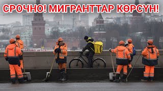 Срочно! Орусиядагы мекендештер КӨРСҮН