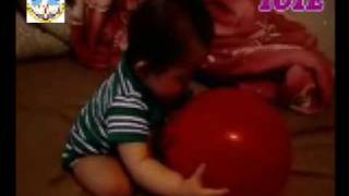 cognitive structure and functions