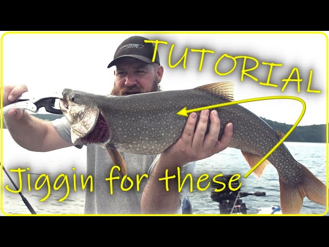 How to Catch River Trout on Jerkbaits 