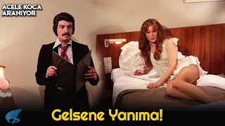 Acele Koca Aranıyor Gelsene Yanıma