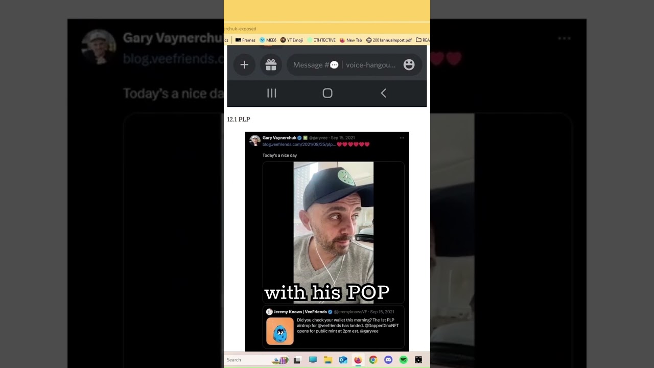 Vayner3 Exposed - Gary Abandons His PLP NFT Projects 