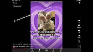 Softvideolar Durdurun Demiş Durdurdum