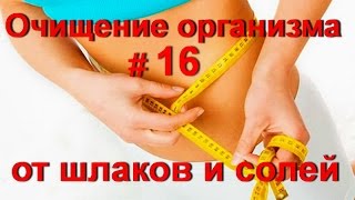 Очищение организма от шлаков и токсинов. Оздоровление и омоложение для здоровья - № 16 / ed black Очищение организма от шлаков и токсинов. Оздоровление и омоложение для здоровья - № 16 / ed black
