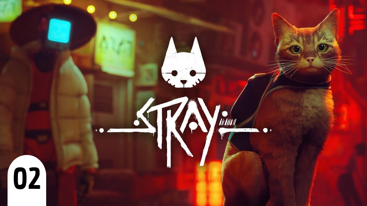 02 (stray)