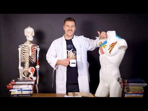 💀☕ Mięsień piersiowy większy i mniejszy - schemat przebiegu | Anatomia Przy Kawie #5