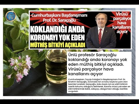 KEKİK YAĞI EV YAPIMI 🌿 NASIL ÇIKARILIR ⚗️ BUHAR DİSTİLASYONU