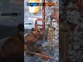 How to win with lawbringer  forhonorshorts