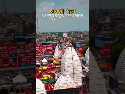 🌺बाबा बैद्यनाथ धाम🙏#बैद्यनाथ #babadham #devghar #harharmahadev #sanatan #sanatandharma #shorts #song