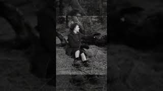 June Lockhart Lassie