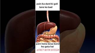PAIN KA DARD KI GOLI LENA KA BAD PAIN HONA KASA BAND HO GATA HAI#shorts#facts#factshorts