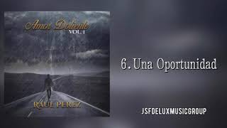 Una Oportunidad- Raúl Pérez (Audio Oficial) 2021