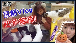 【Annie】Wagashi! Cat! Moutain climbing.. Vlog of Kyoto! (ep.1)