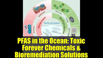 PFAS in the Ocean: Toxic Forever Chemicals & Bioremediation Solutions