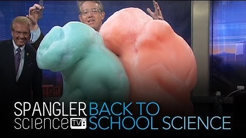 Back to School Science Elephant