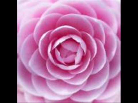 Camelia \u0026 Urban Exchange - Not That Type Of Ladeh
