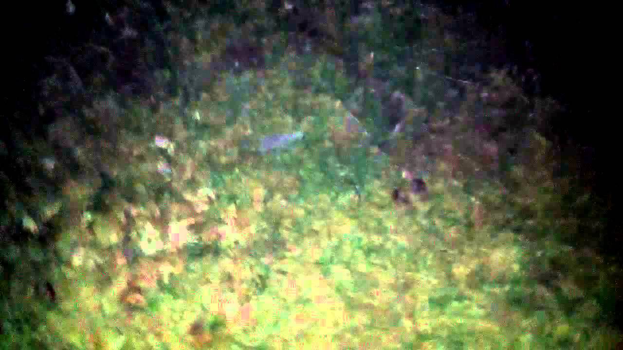 Grudge Game Part First Person YouTube grudge-game-part-first-person-youtube