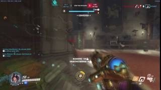 mei wall bug