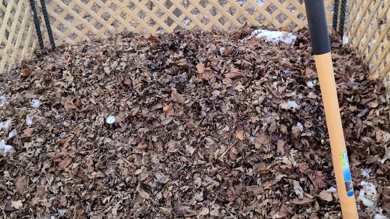 hot compost in winter YouTube