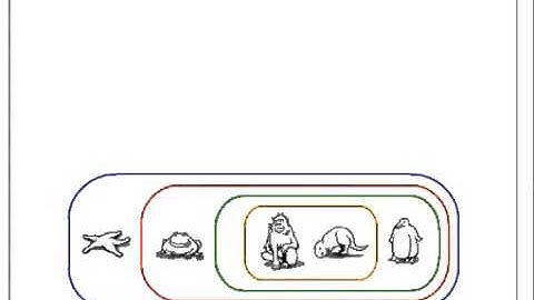 How to Build a Cladogram