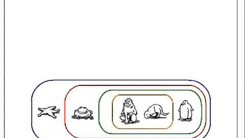 How to Build a Cladogram
